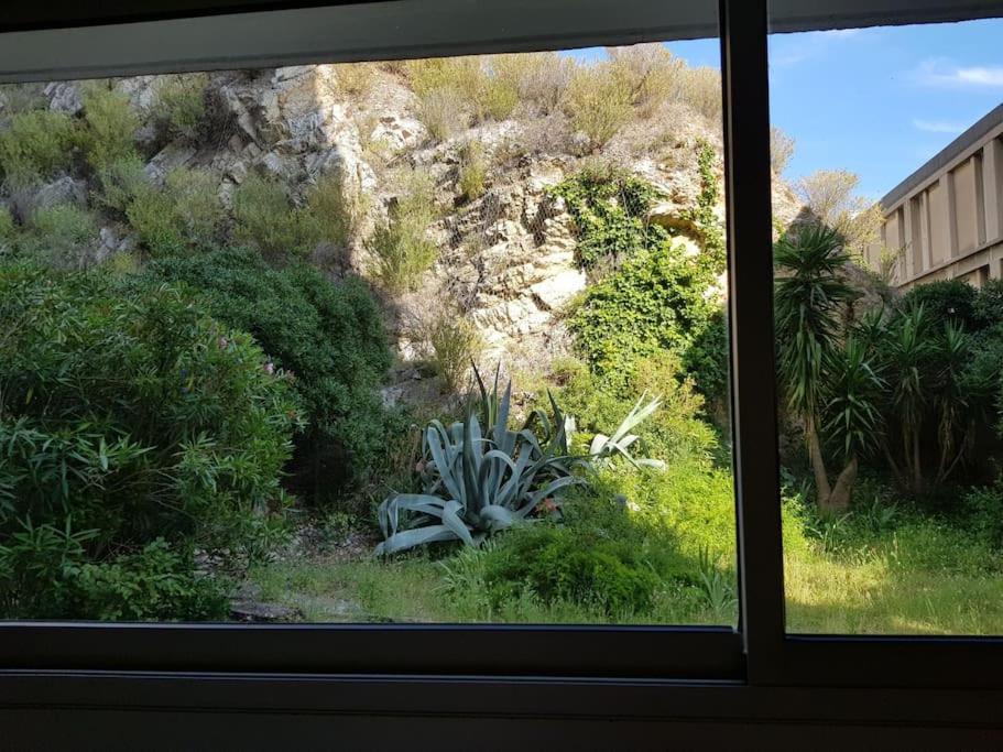 Apartamento T2 Proximite Mer, Vallon Des Auffes Marsella Exterior foto